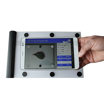叶片形态测量仪 叶片形态测量仪