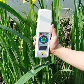 抗倒伏测定仪 抗倒伏测定仪