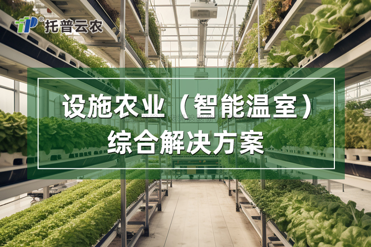 设施农业(智能温室)综合解决方案