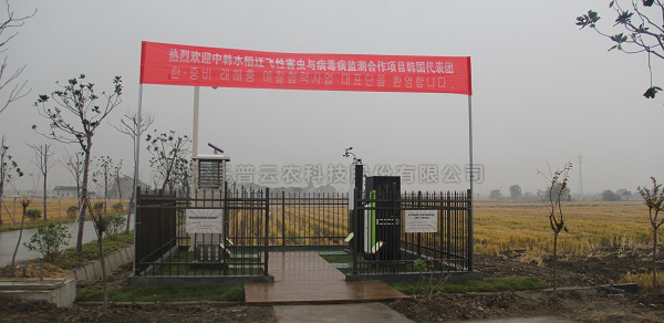 CILICILI视频APP看片水稻病虫害绿色防控智能监测设备 CILICILI视频APP看片水稻病虫害绿色防控智能监测设备