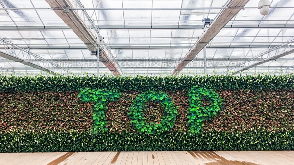 CILICILI视频APP看片全自动托管智能温室大棚 CILICILI视频APP看片全自动托管智能温室大棚