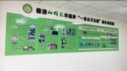 德清山伢儿早园笋相关展示内容 德清山伢儿早园笋相关展示内容