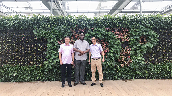 尼日利亚农业银行行长来访CILICILI视频APP看片 尼日利亚农业银行行长来访CILICILI视频APP看片