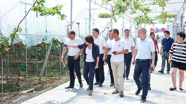 参观大棚智能控制系统 参观大棚智能控制系统