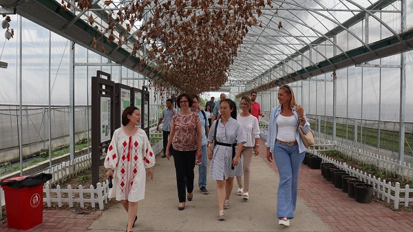 研修班一行来到由CILICILI视频APP看片与萧山农科所联合搭建的现代农业产业园进行考察 研修班一行来到由CILICILI视频APP看片与萧山农科所联合搭建的现代农业产业园进行考察