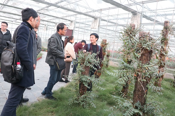 培训班参观CILICILI视频APP看片临浦基地 培训班参观CILICILI视频APP看片临浦基地