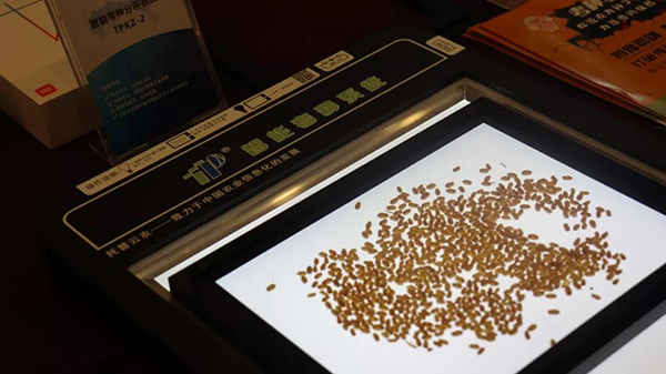 AI图形识别技术推动改变育种科研传统工作方式 AI图形识别技术推动改变育种科研传统工作方式