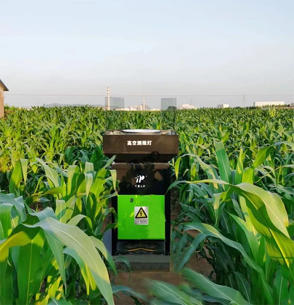 高空测报灯 高空测报灯