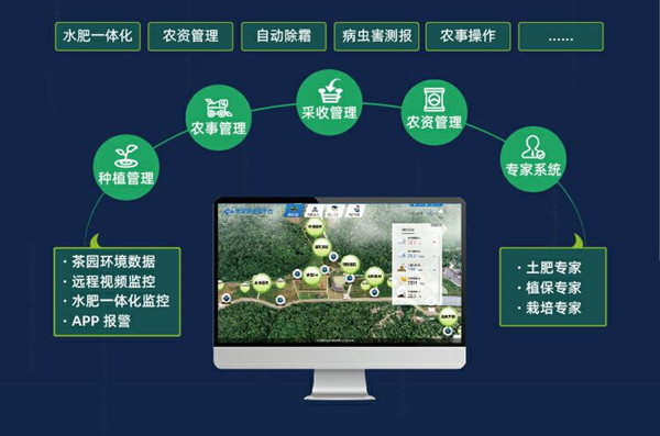 1647824491302358.jpg 2_副本.jpg