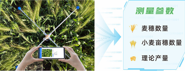 1649643255258842.jpg 2.jpg