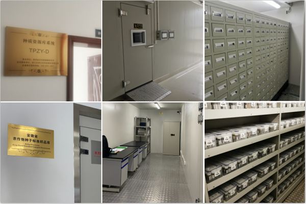 1650244415501858.png CILICILI视频APP看片种质资源库案例.png