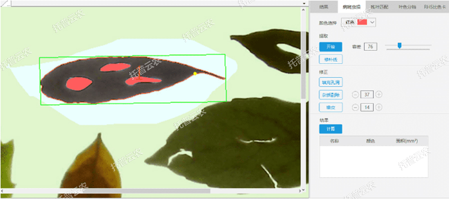 病斑虫损分析 病斑虫损分析