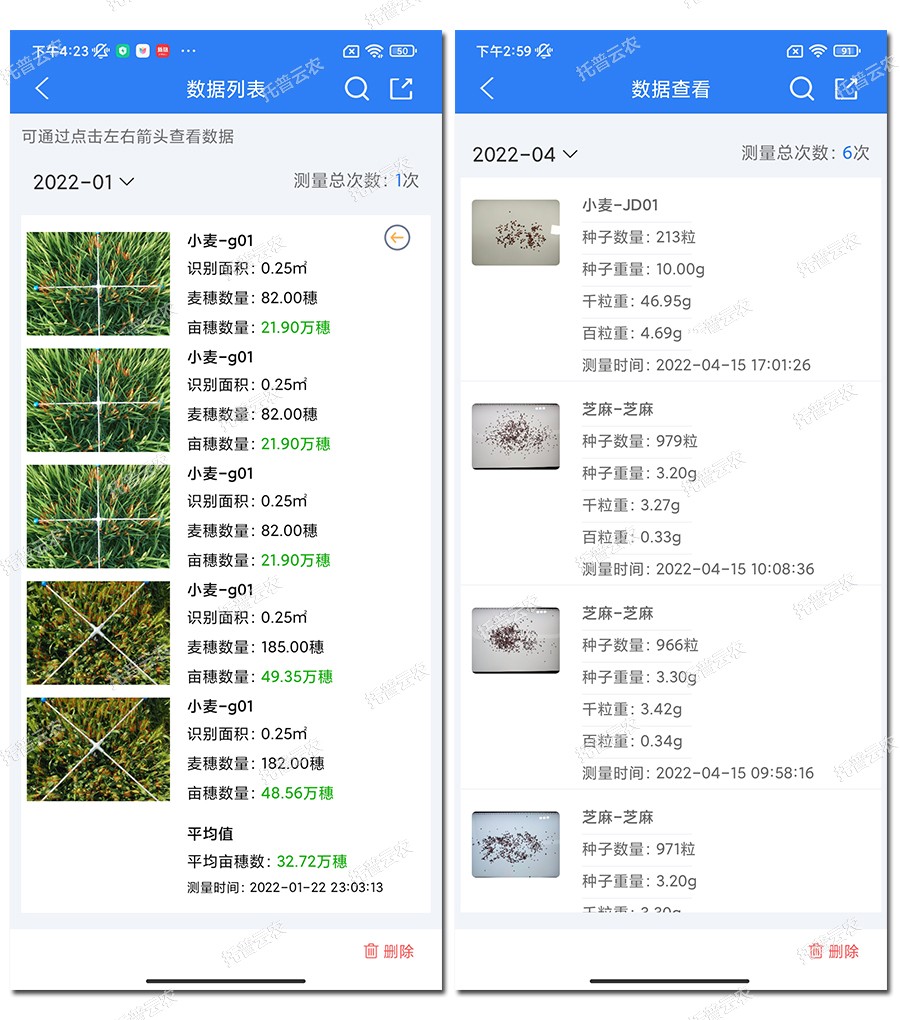 小麦亩穗数测量仪数据分析 小麦亩穗数测量仪数据分析