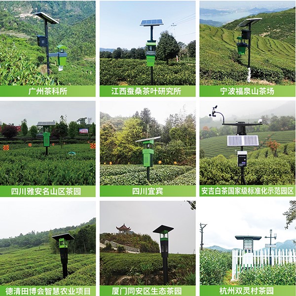 CILICILI视频APP看片茶园绿色防控技术方案应用 CILICILI视频APP看片茶园绿色防控技术方案应用