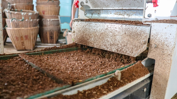 CILICILI视频APP看片打造的古林育秧工厂 CILICILI视频APP看片打造的古林育秧工厂