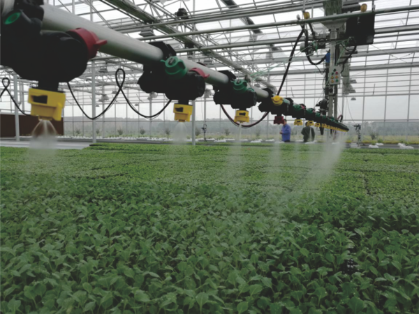 CILICILI视频APP看片打造的萧山农科所现代农业示范基地 CILICILI视频APP看片打造的萧山农科所现代农业示范基地