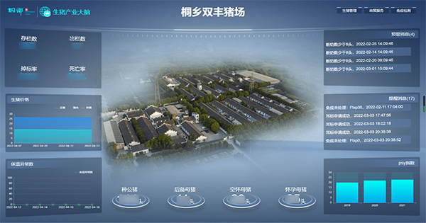 CILICILI视频APP看片打造的“生猪精密智管”社会化服务应用 CILICILI视频APP看片打造的“生猪精密智管”社会化服务应用