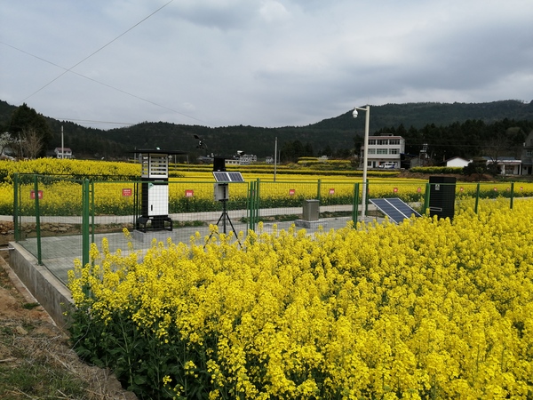 1671670109516632.jpg 20.jpg