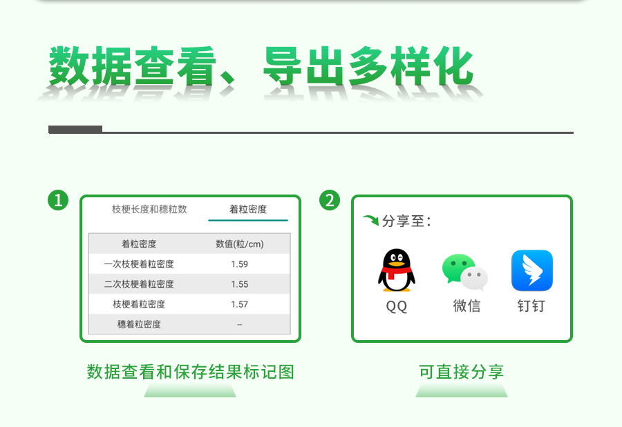 水稻整穗考种测量系统 水稻整穗考种测量系统