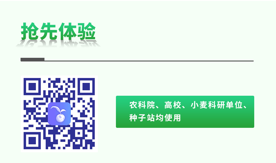 小麦表型检测仪 小麦表型检测仪