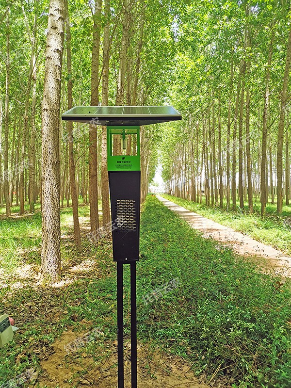 1685949146484854.jpg 10.jpg