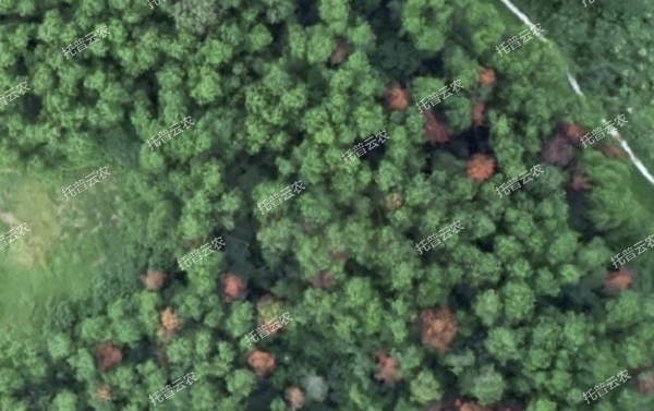 1685949532394620.jpg 3.jpg