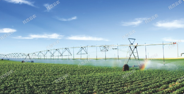 1685950213153658.jpg 4.jpg