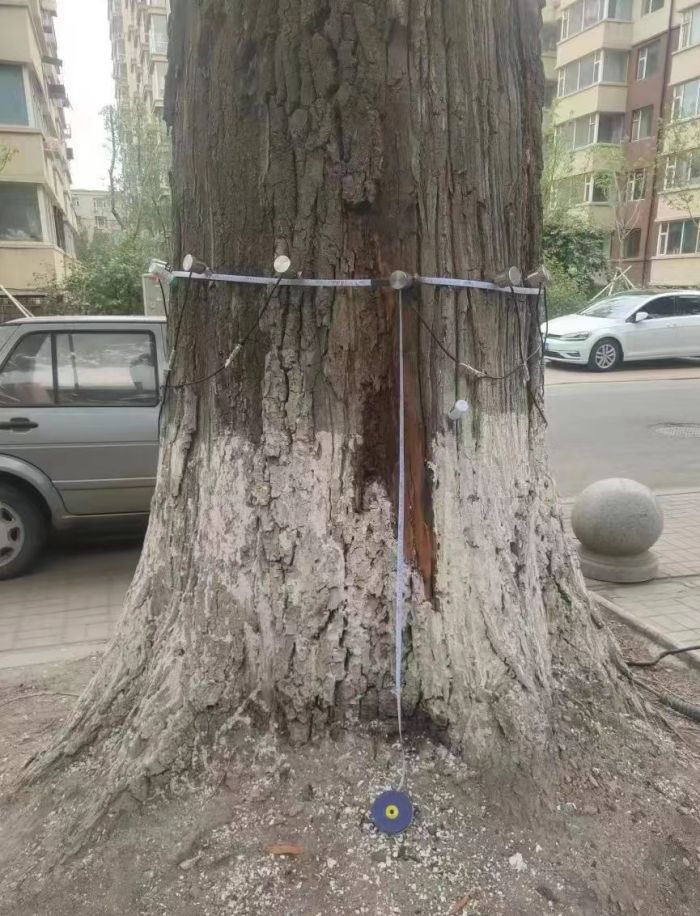 1688534440357177.jpg 3.jpg