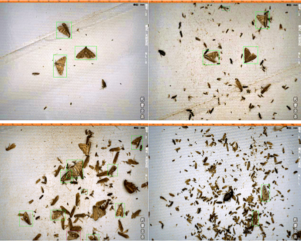 1690435864252619.png 9.png