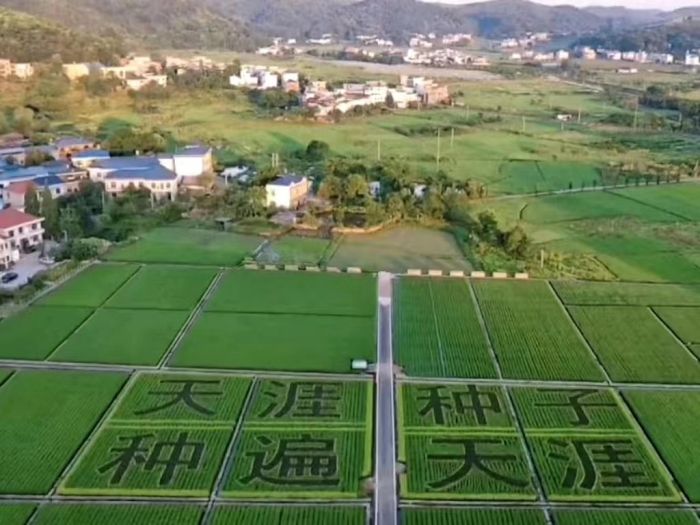 1695112476715617.jpg 4.jpg