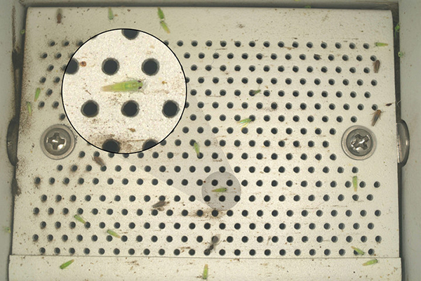 1695197149690176.jpg SEO用图3.jpg