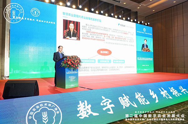 1701163439432714.jpg SEO1.jpg