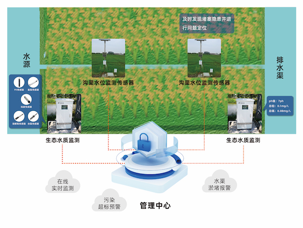 1717403266350289.jpg 7.jpg