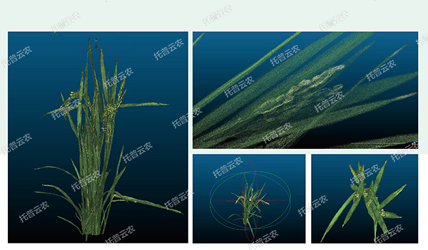 1724142908496177.jpg 9.jpg