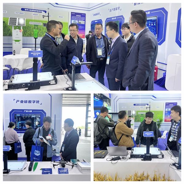 1733106162882126.jpg 9.jpg