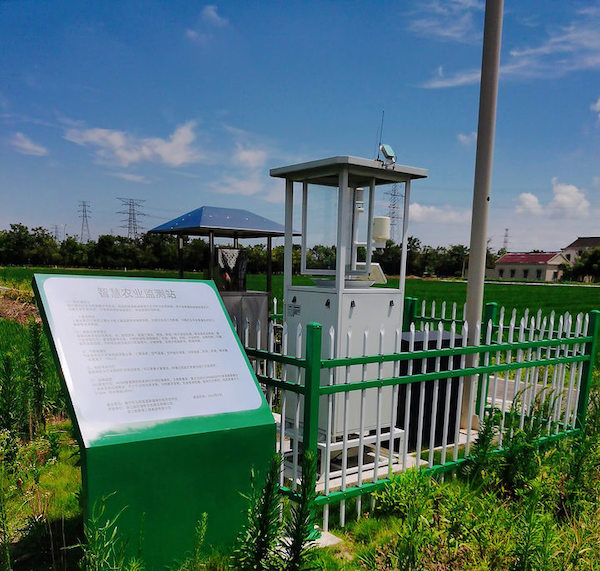 1735203790489292.jpg 3.jpg